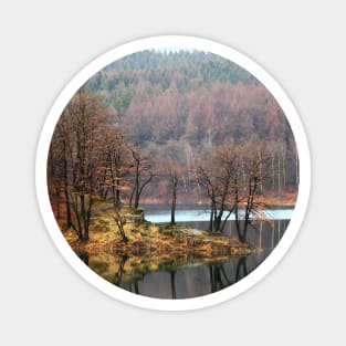 Aggertalsperre - Mirrowing Lake Autumn Colors Magnet